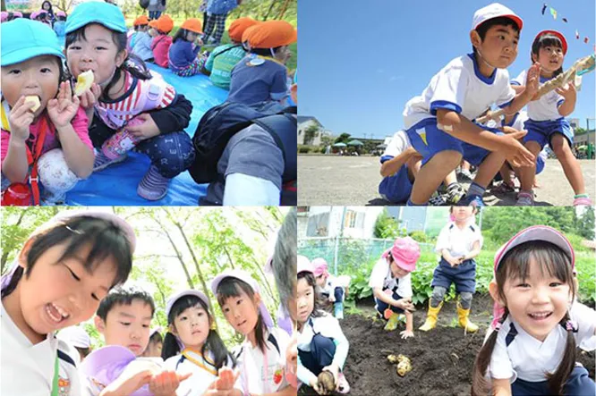 動画制作について